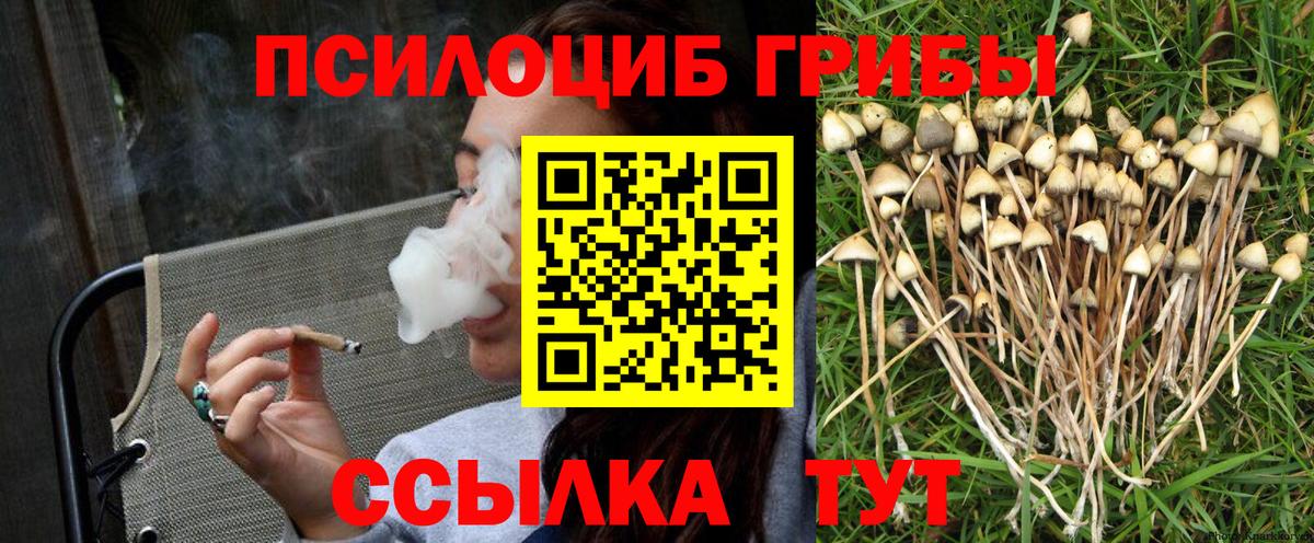 Галлюциногенные грибы Psilocybine cubensis  Псилоцибиновые грибы Cubensis  Пенза  магазин продажи наркотиков  Вход с VPN 